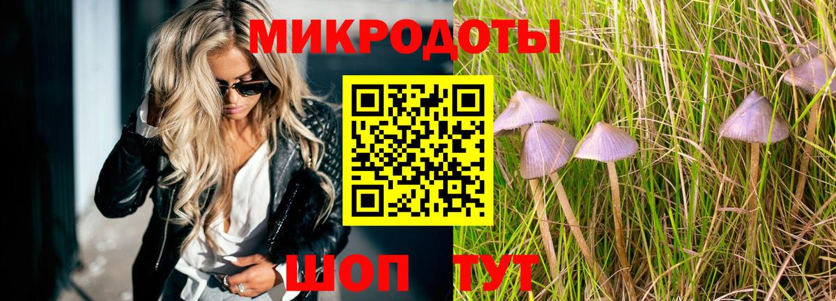 купить   Псилоцибиновые грибы MAGIC MUSHROOMS  Ковров  Вход с VPN  Галлюциногенные грибы Psilocybine cubensis 
