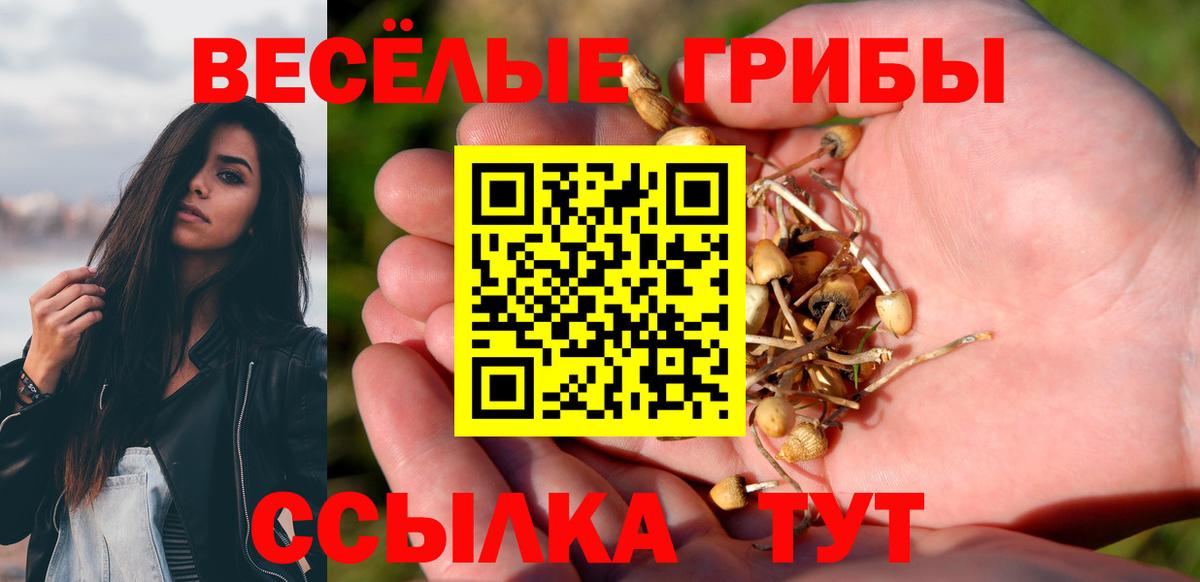 Псилоцибиновые грибы Psilocybe Ковров